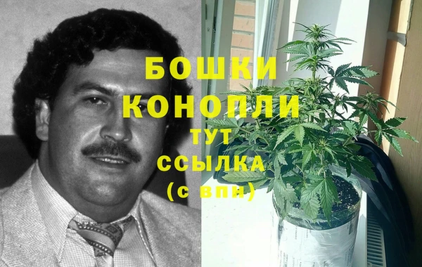 ешки Верея